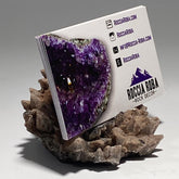 Dogstooth calcite business card holder